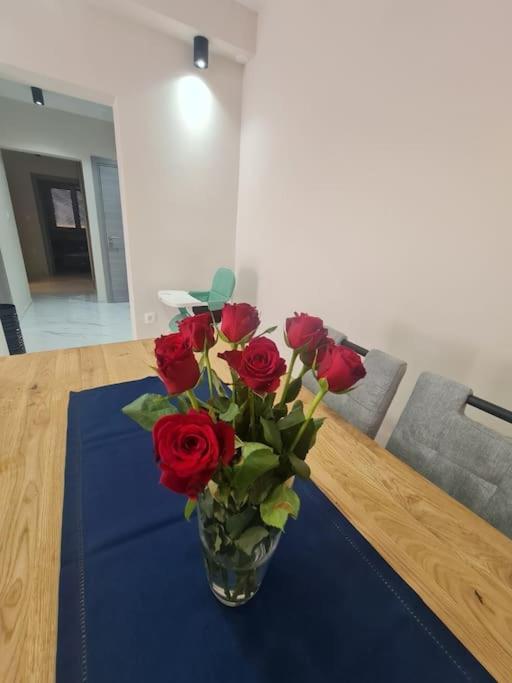 Mias Luxury Apartment リエカ エクステリア 写真